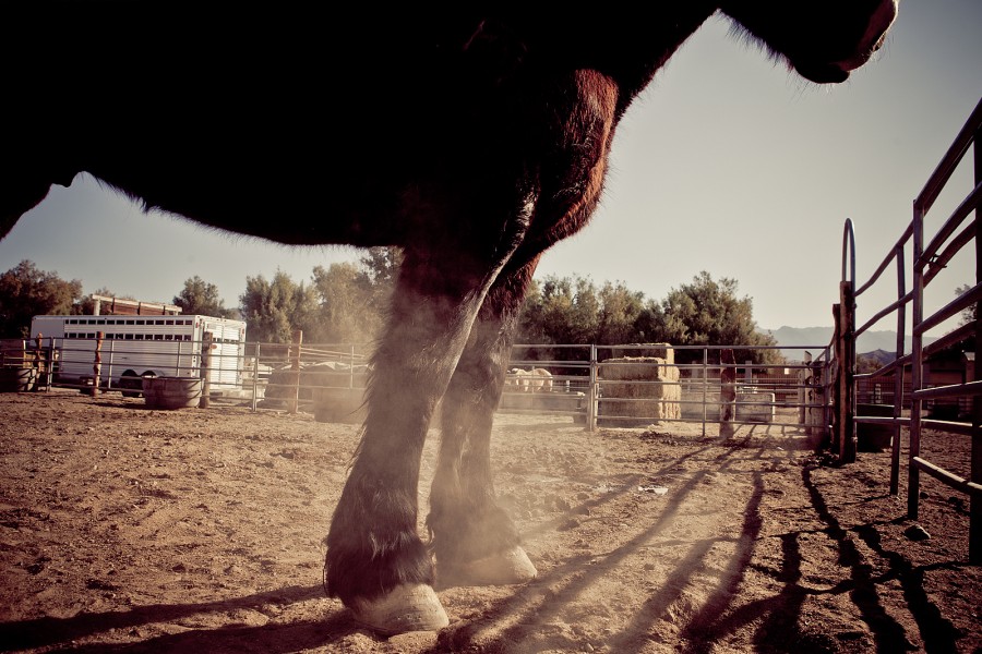 us2012_wide_0003s_0000_Layer 78