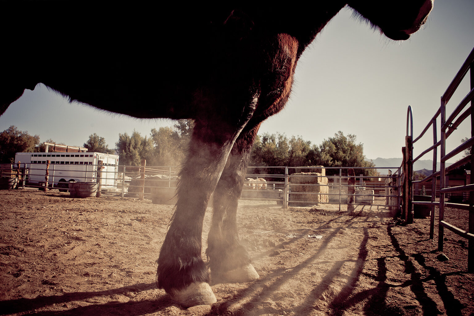 us2012_wide_0003s_0000_Layer 78