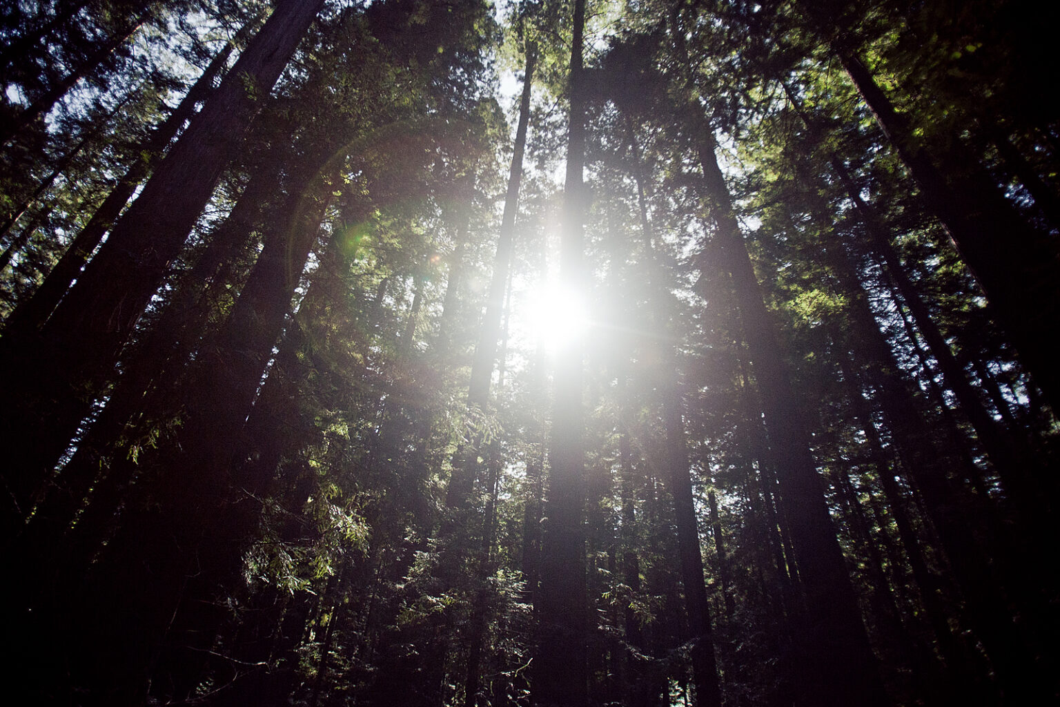 us2012_wide_0011s_0000_Layer 62
