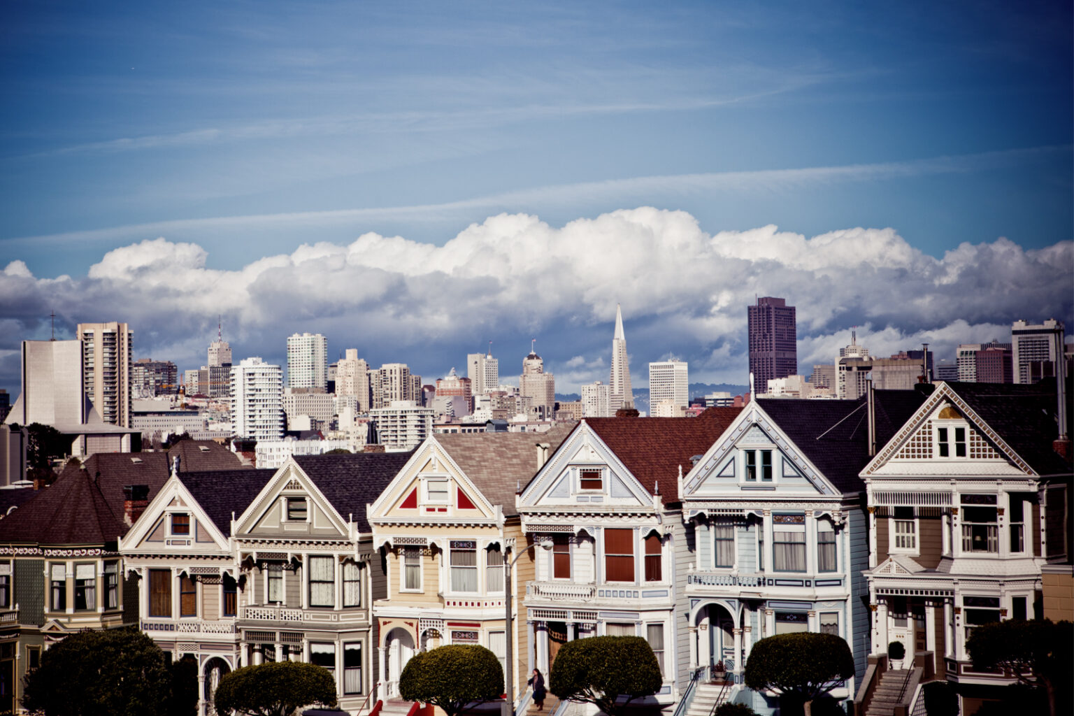 Painted ladies, San Francisco
