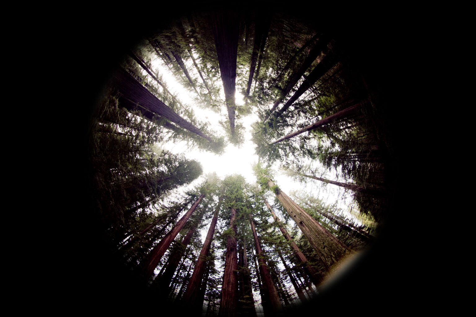 us2012_wide_0030s_0000_Layer 42