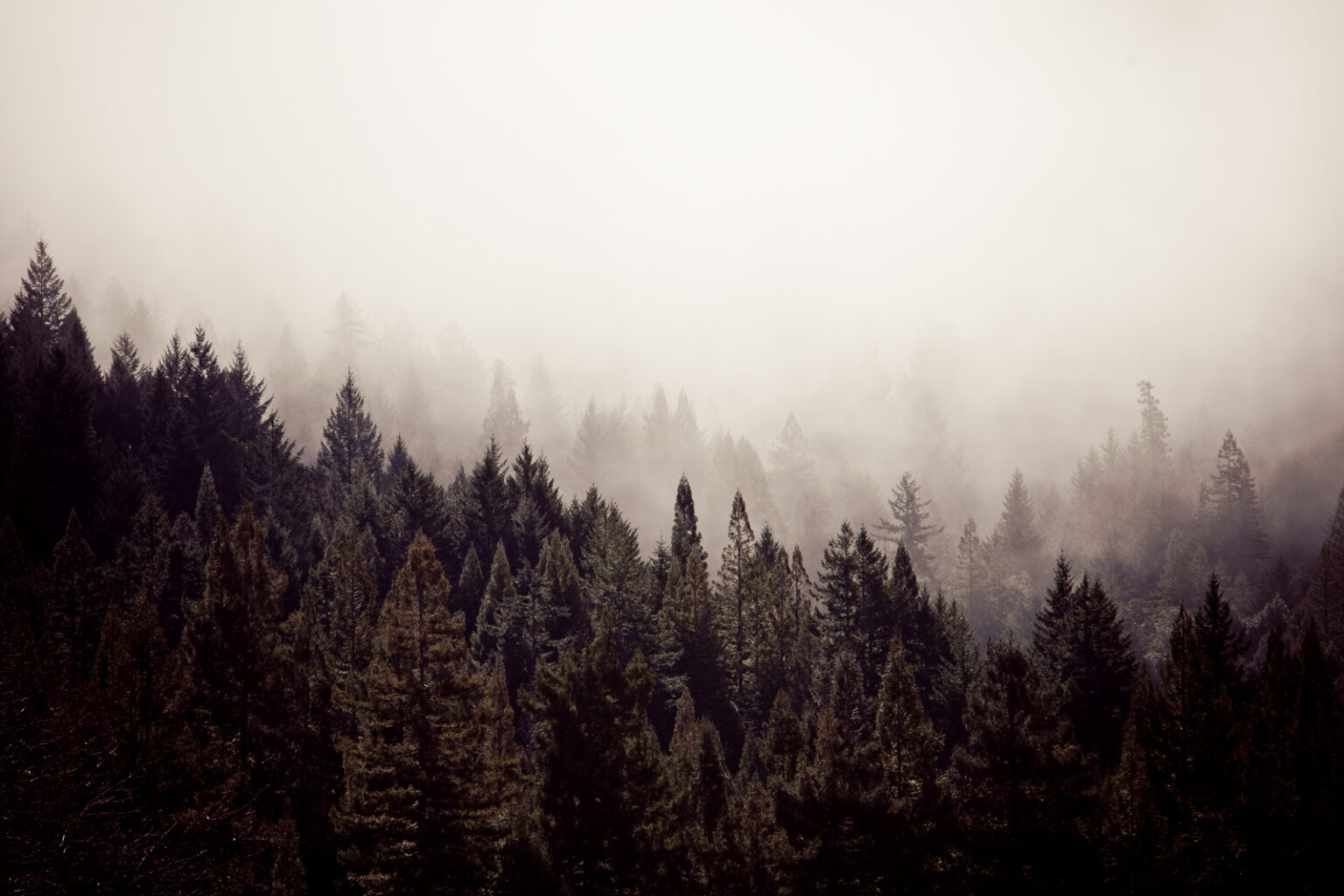 us2012_wide_0050s_0000_Layer 17