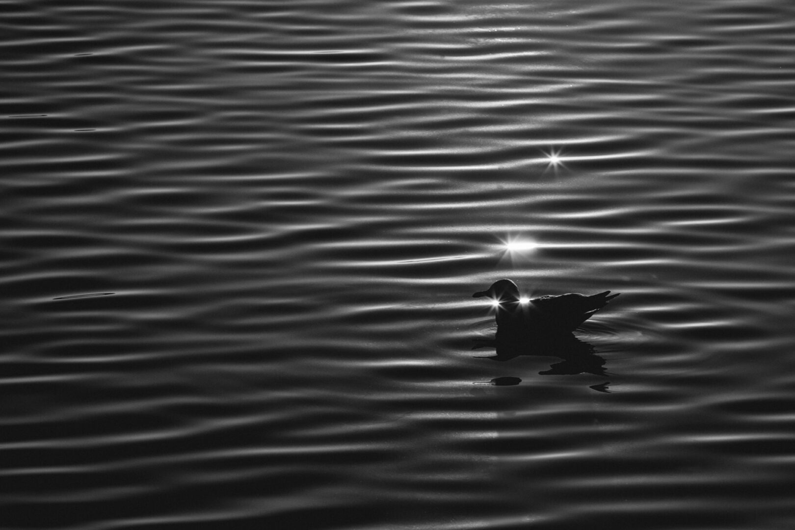 365 – 12 –Port of Oslo