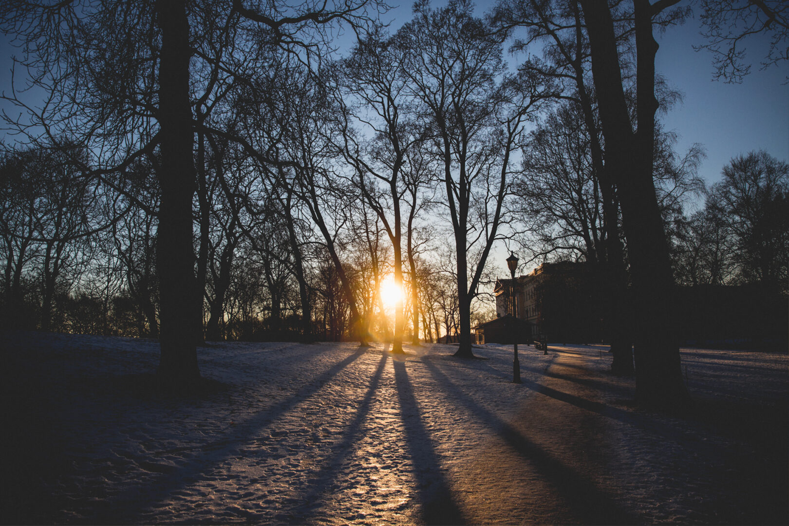 365 – 12 –Palace Park