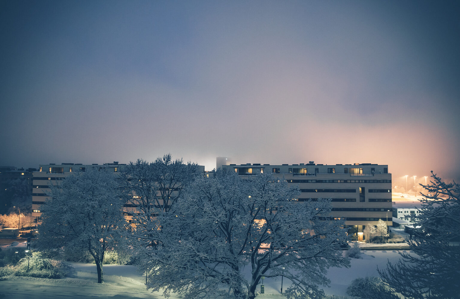 365 - 35 - Marienlyst, Oslo