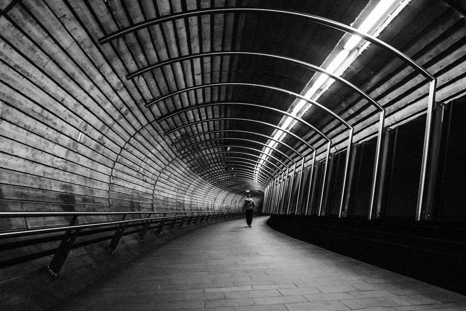 365 – 77 – NTNLTTT