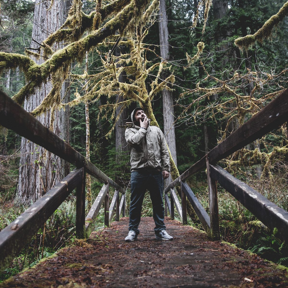 365 – 86 – Redwood, California