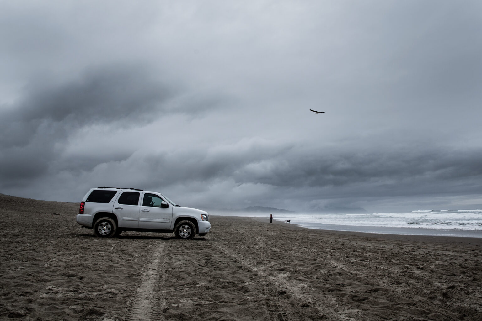 365 – 85 – Random beach, Oregon