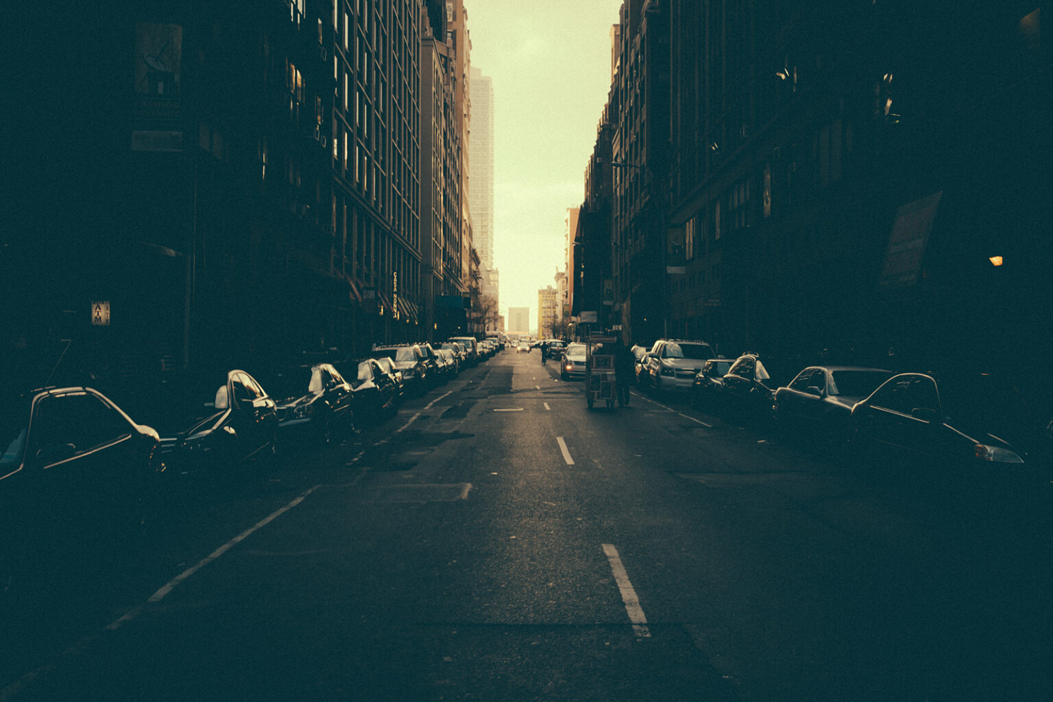 bolfo_0001s_0005_NYC