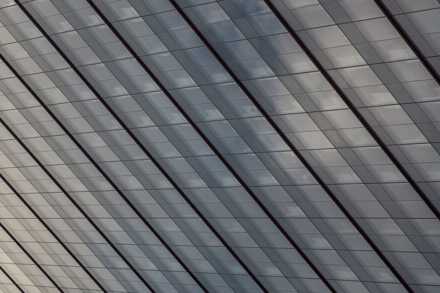 bolfo_0001s_0006_NYC