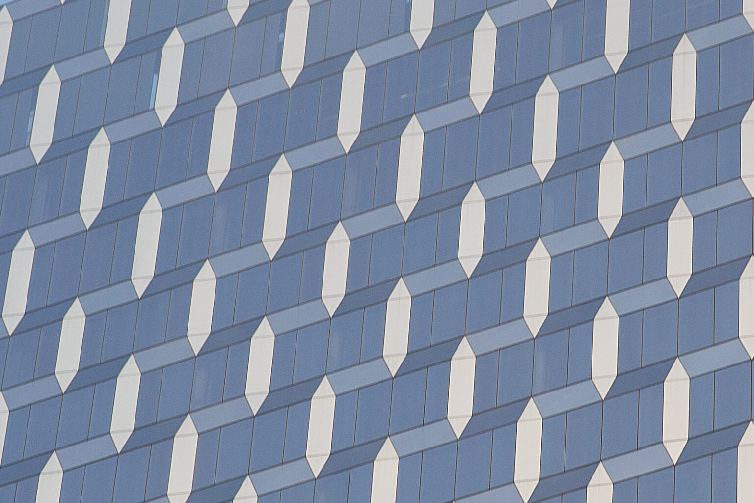 bolfo_0001s_0012_NYC