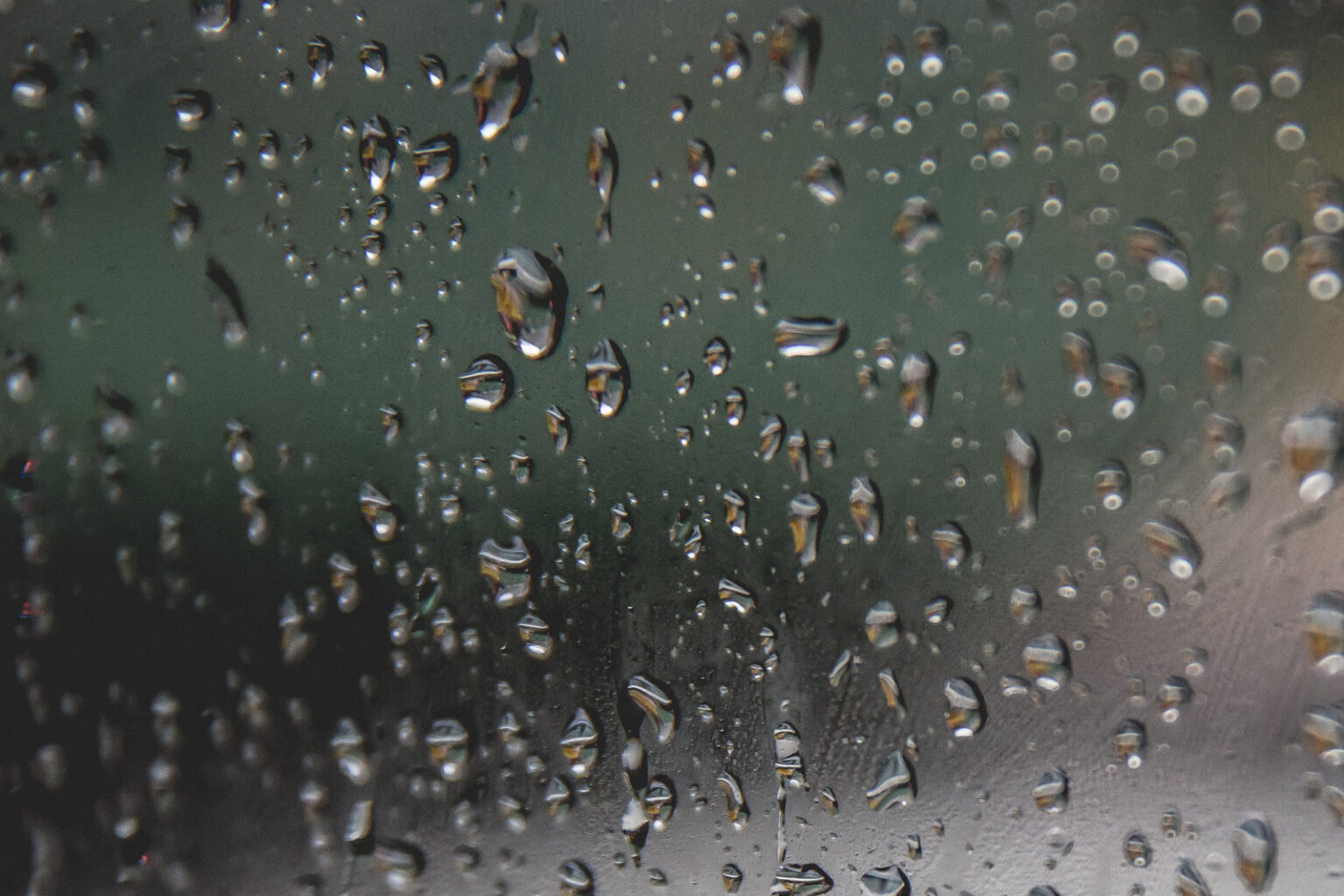 bolfo_0001s_0015_NYC RAin