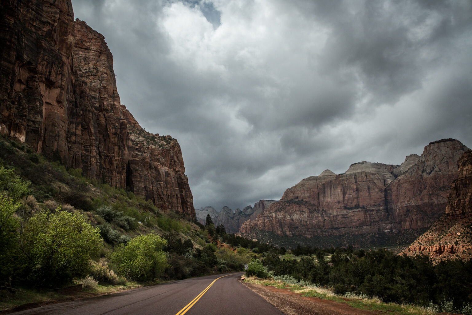 bolfo_0003s_0000_Zion