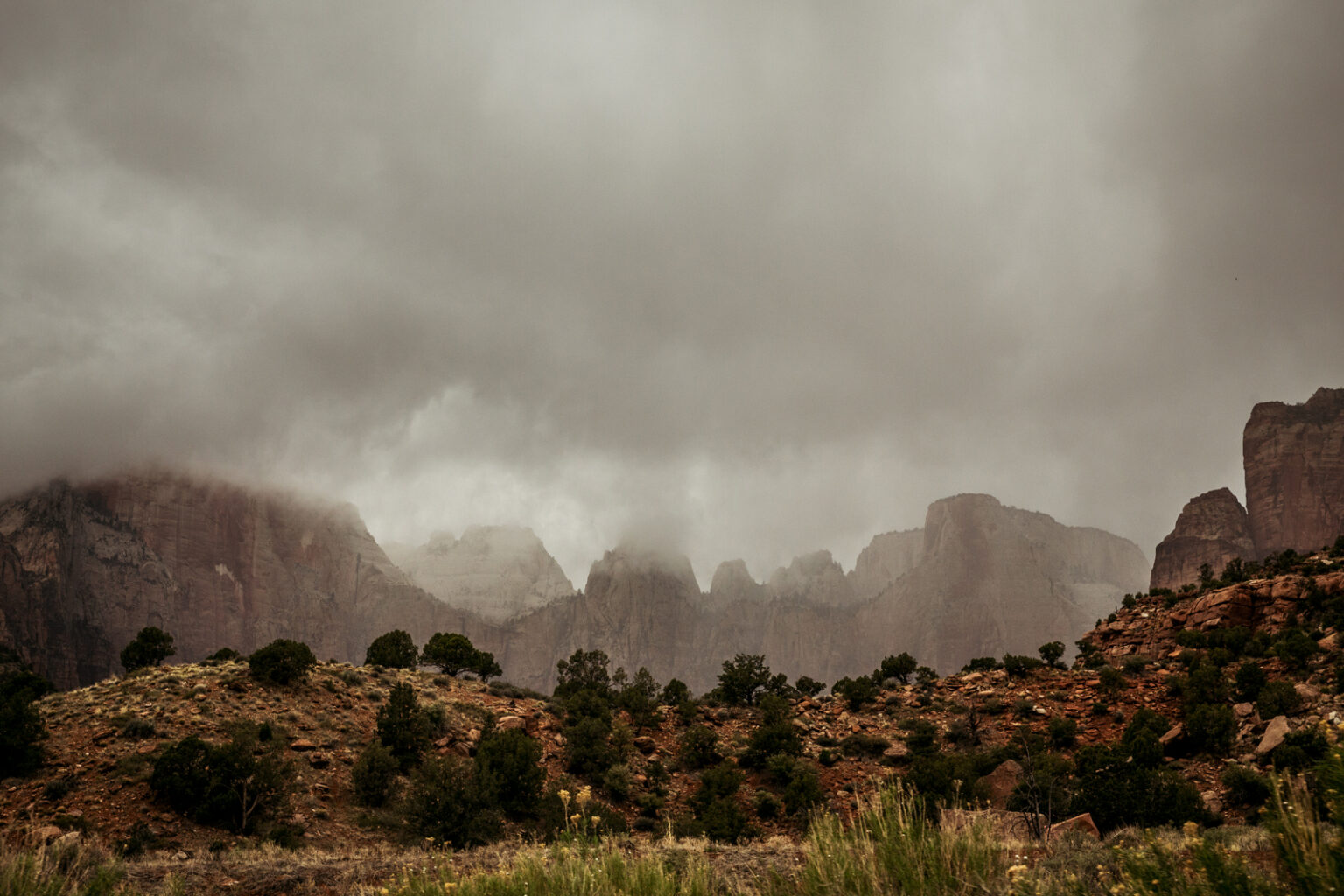 bolfo_0003s_0002_Zion