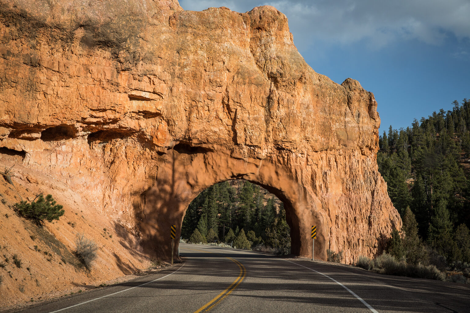 bolfo_0004s_0002_Bryce