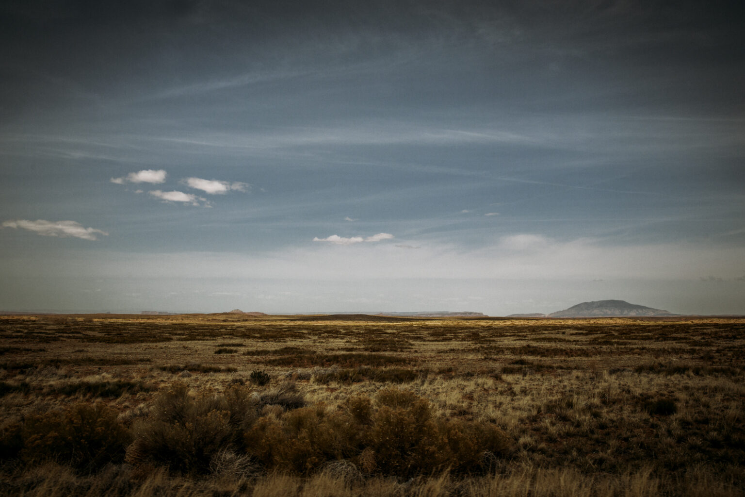 bolfo_0004s_0004_Bryce