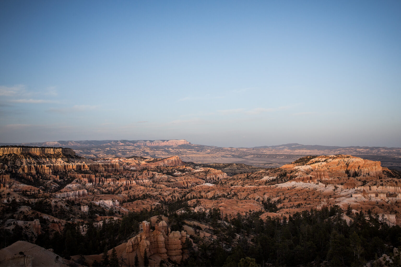 bolfo_0004s_0006_Bryce