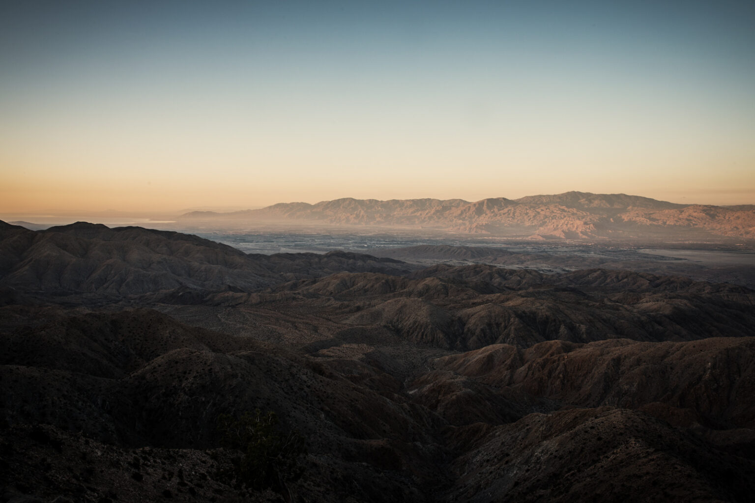 bolfo_0006s_0004_Joshua Tree