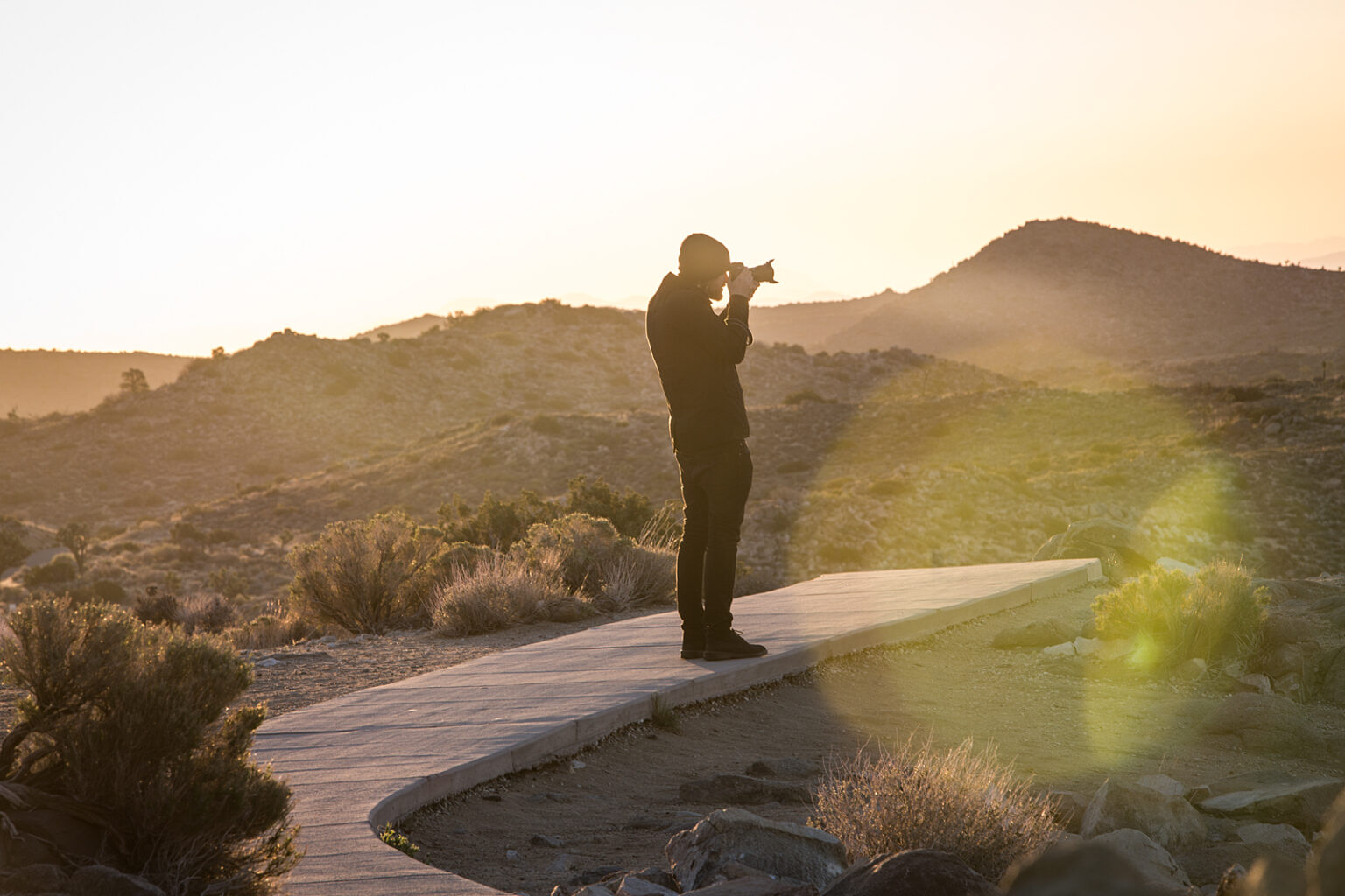 bolfo_0006s_0006_Joshua Tree