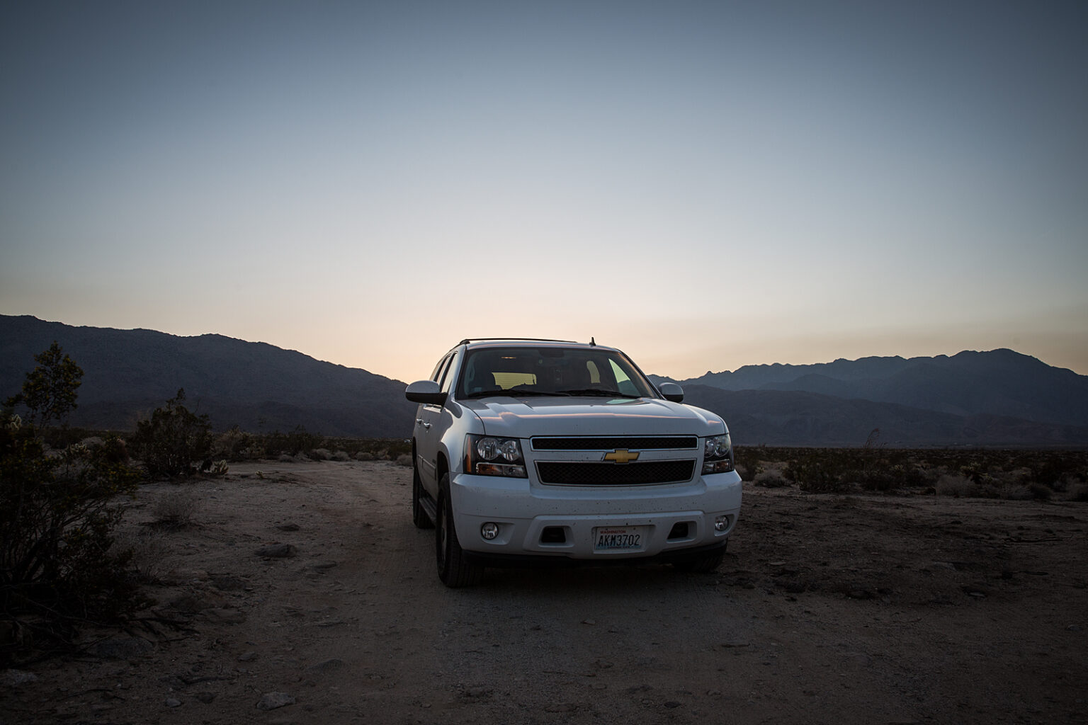 bolfo_0006s_0007_Joshua Tree