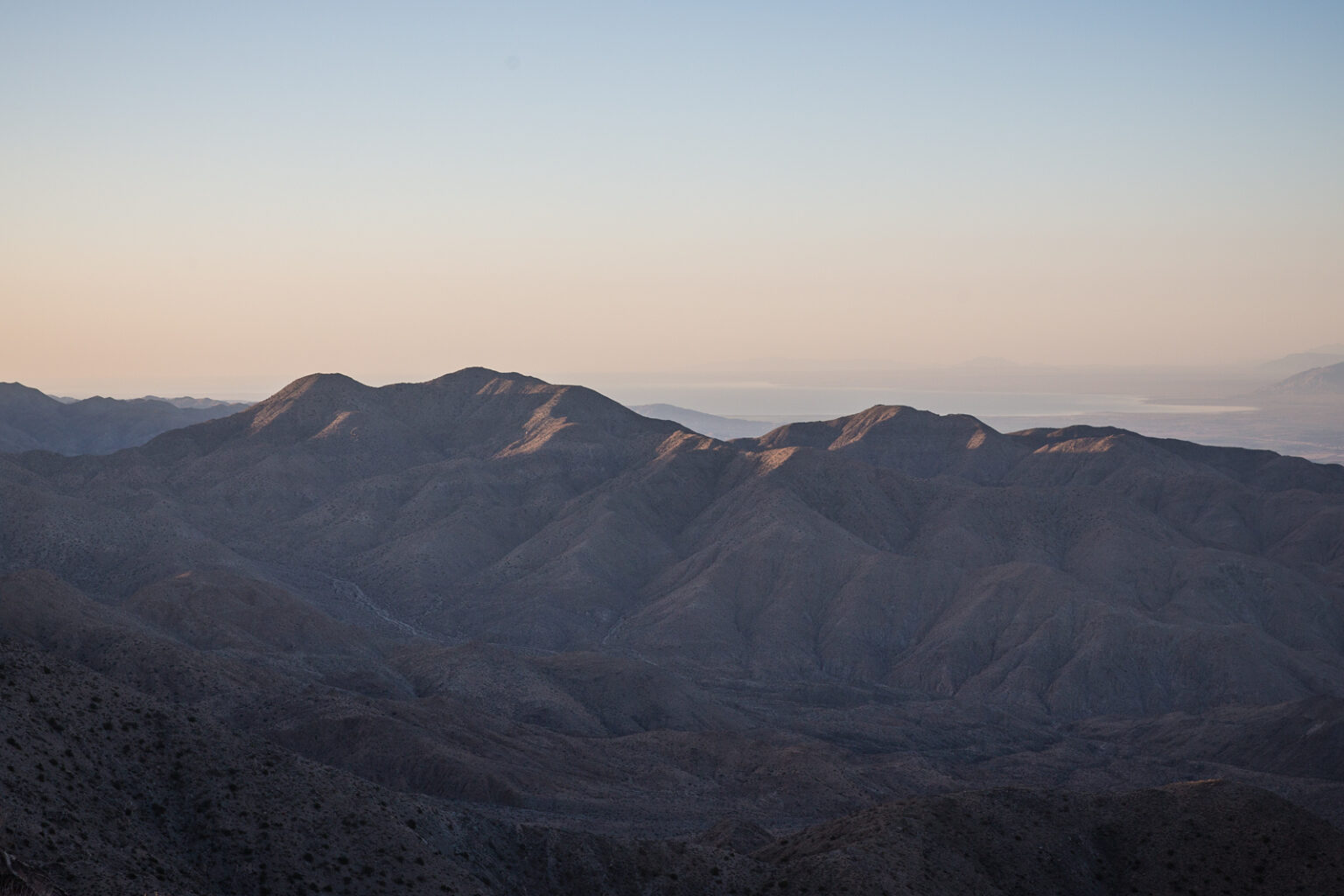 bolfo_0006s_0011_Joshua Tree