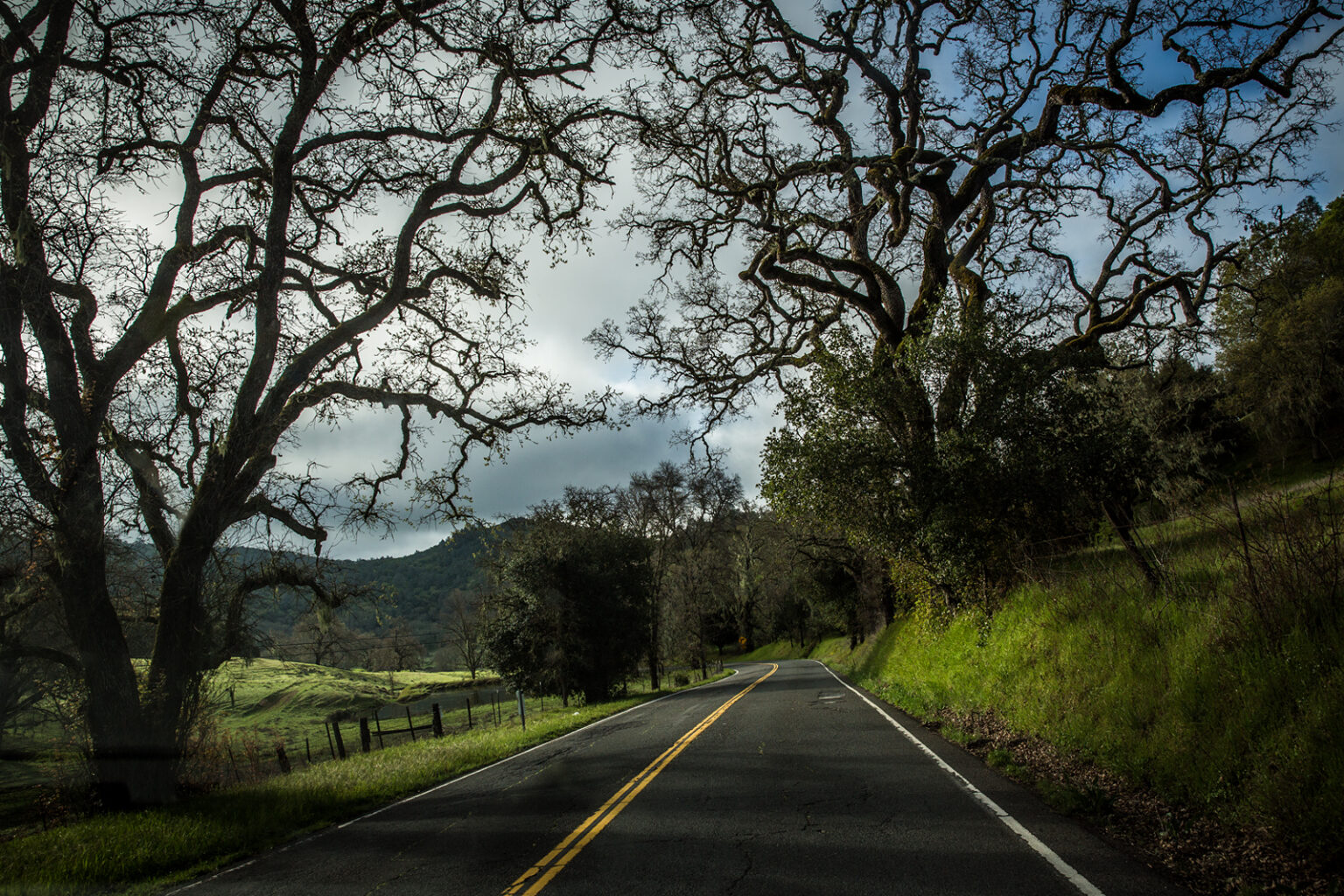 bolfo_0009s_0002_napa