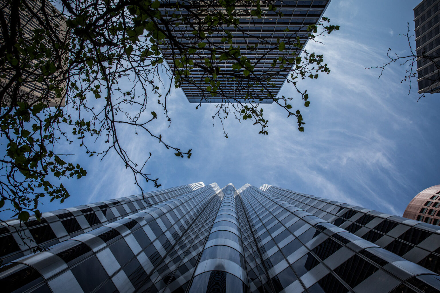bolfo_0009s_0008_Financial District SF