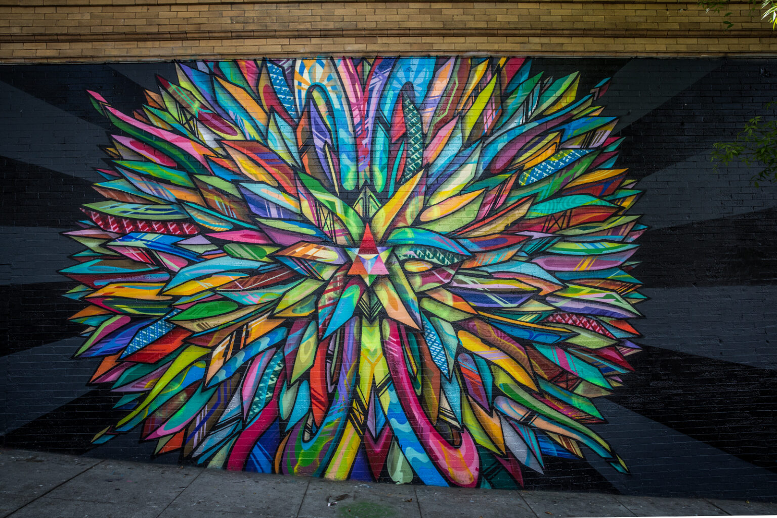 bolfo_0009s_0010_san fran art