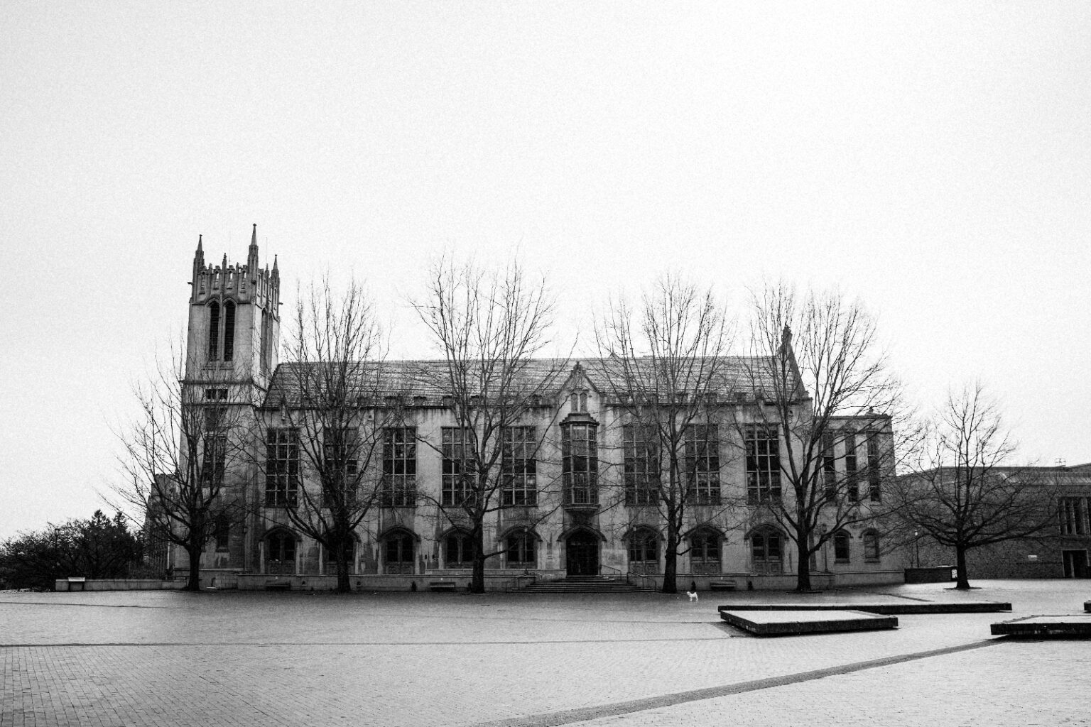 bolfo_0011s_0005_Seattle - University