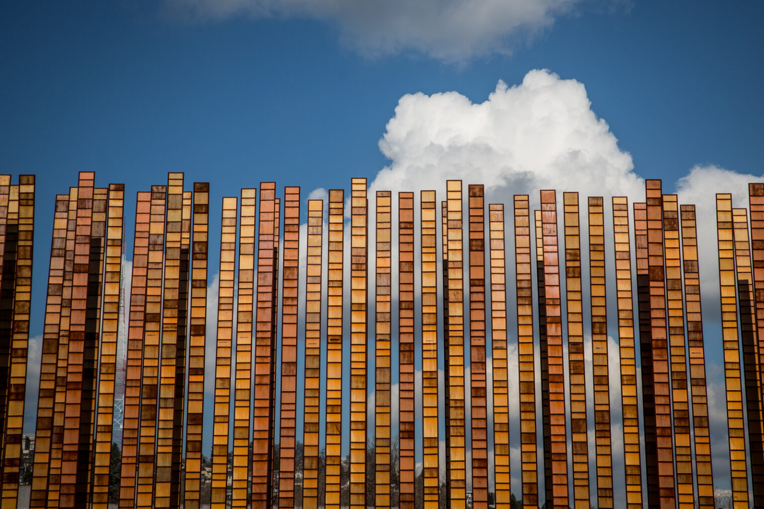 bolfo_0011s_0010_Seattle
