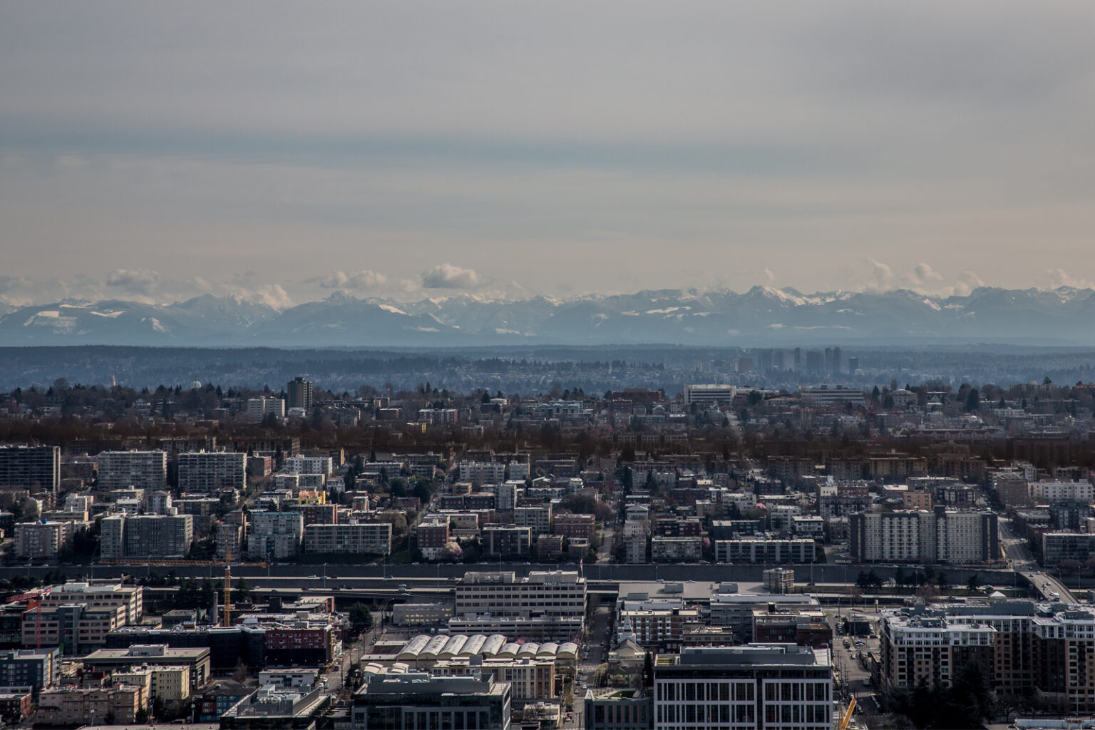 bolfo_0011s_0018_Seattle