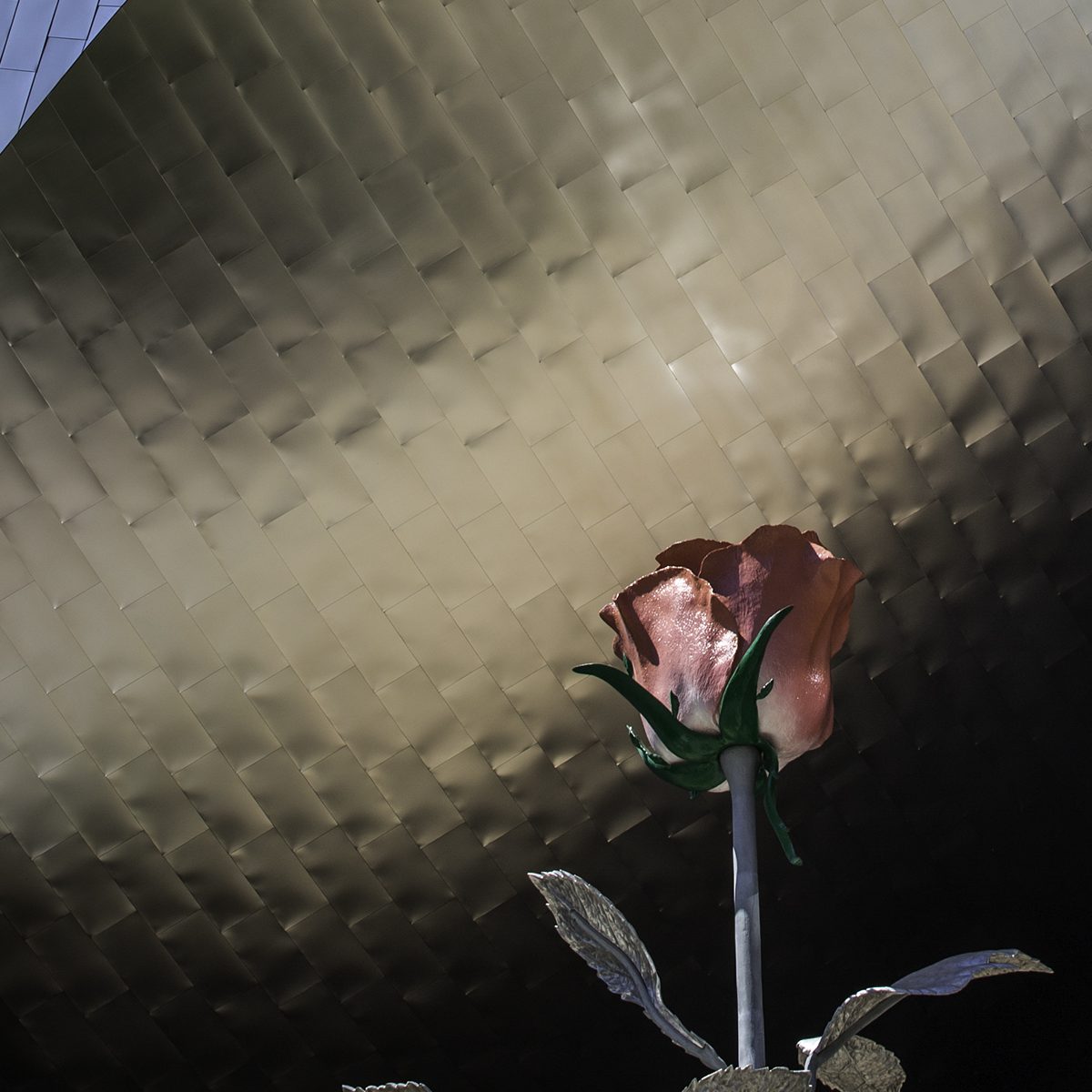 us_hoy_0002s_0001_Layer 93