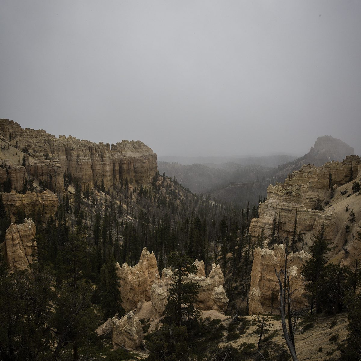 us_hoy_0004s_0001_Layer 113