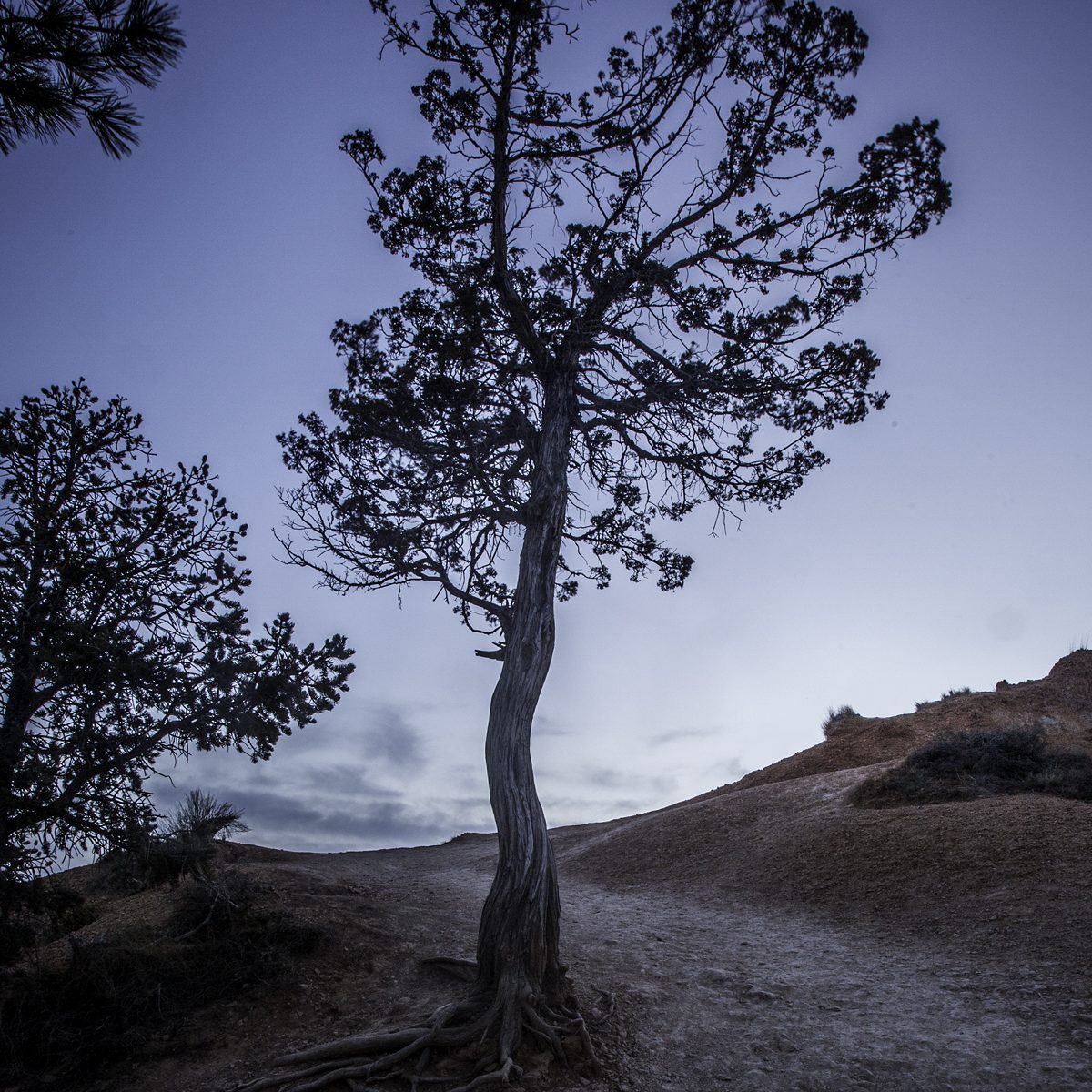 us_hoy_0004s_0003_Layer 111