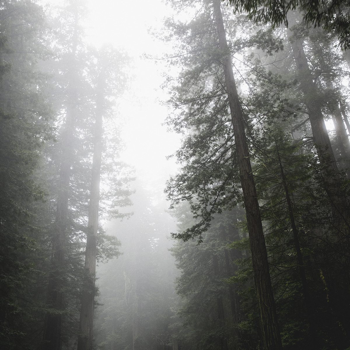 us_hoy_0010s_0005_Layer 98