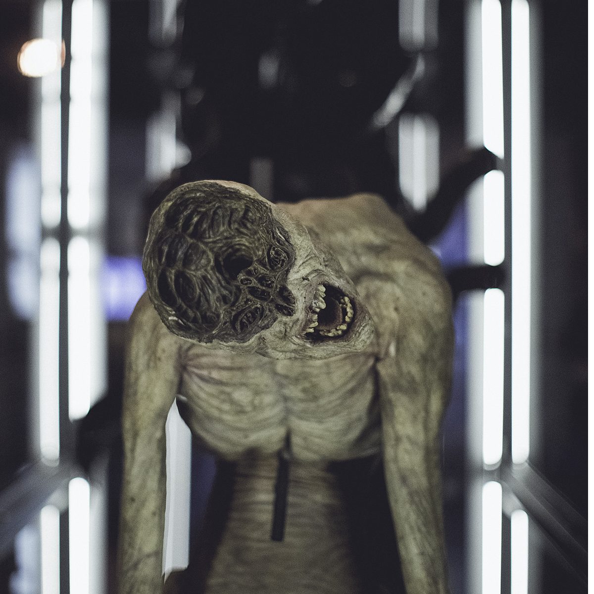 us_hoy_0013s_0000_Layer 52