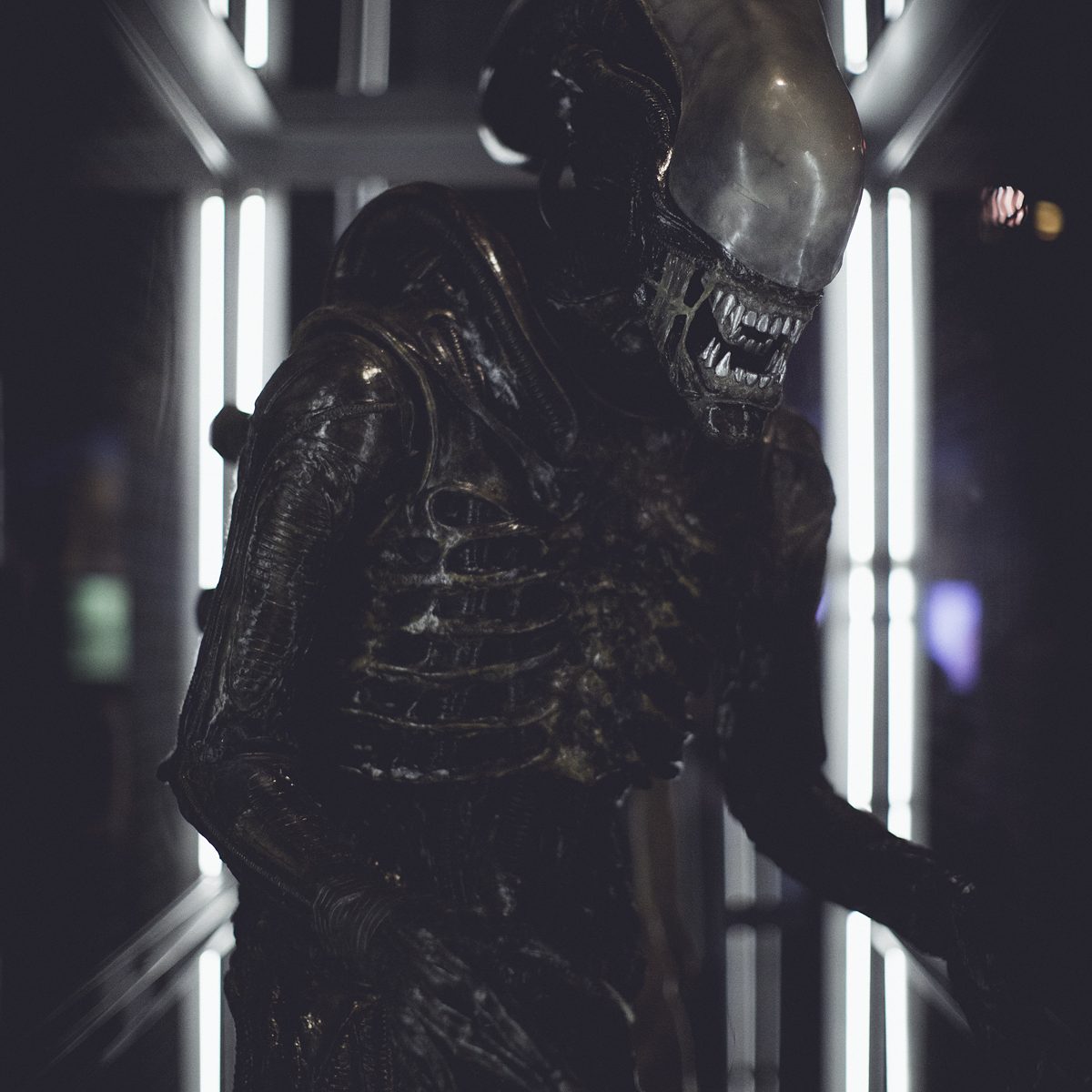 us_hoy_0013s_0001_Layer 51