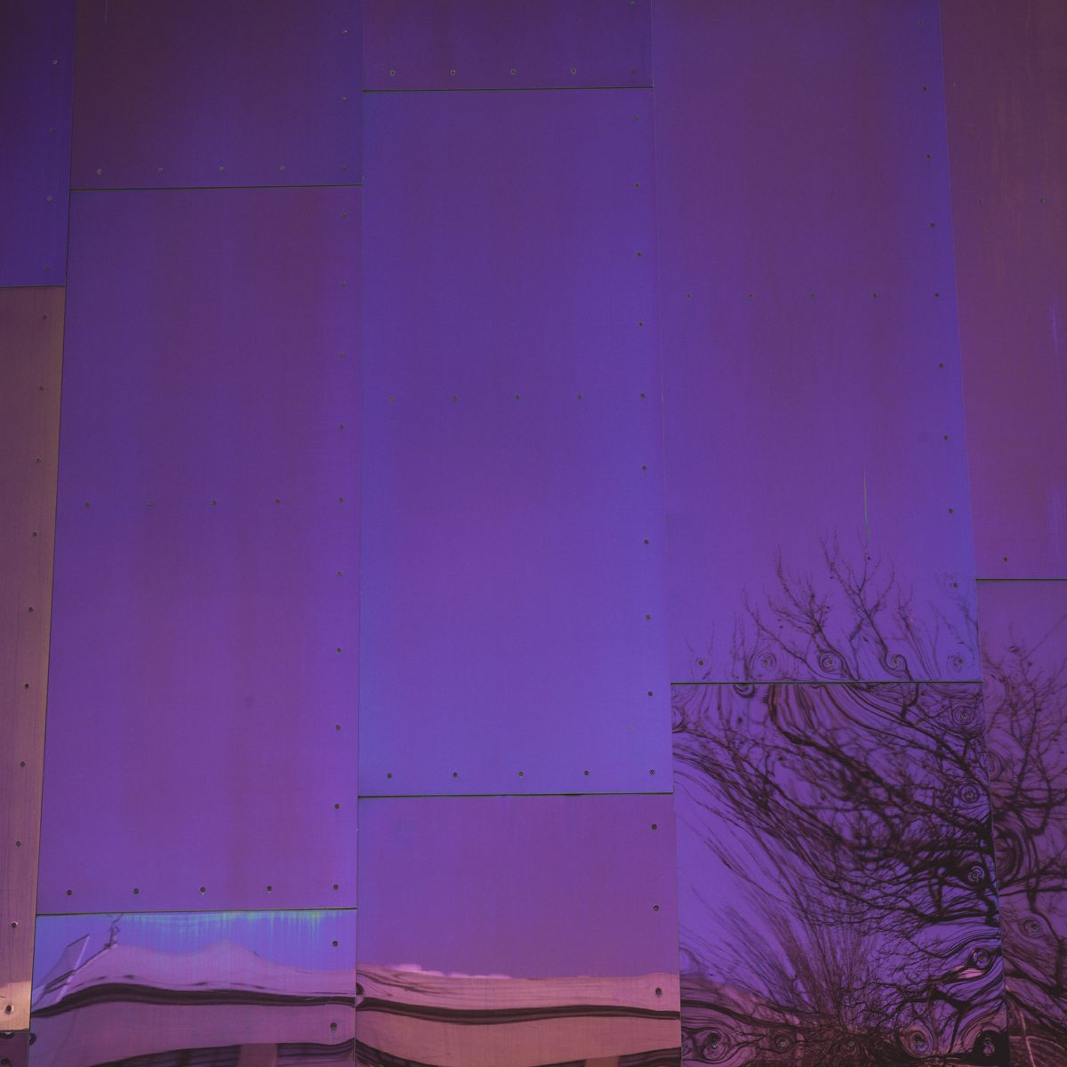 us_hoy_0013s_0002_Layer 50