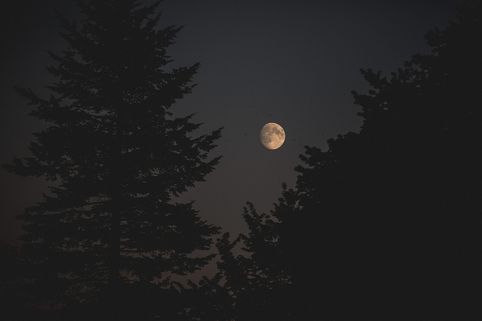 sl_moon