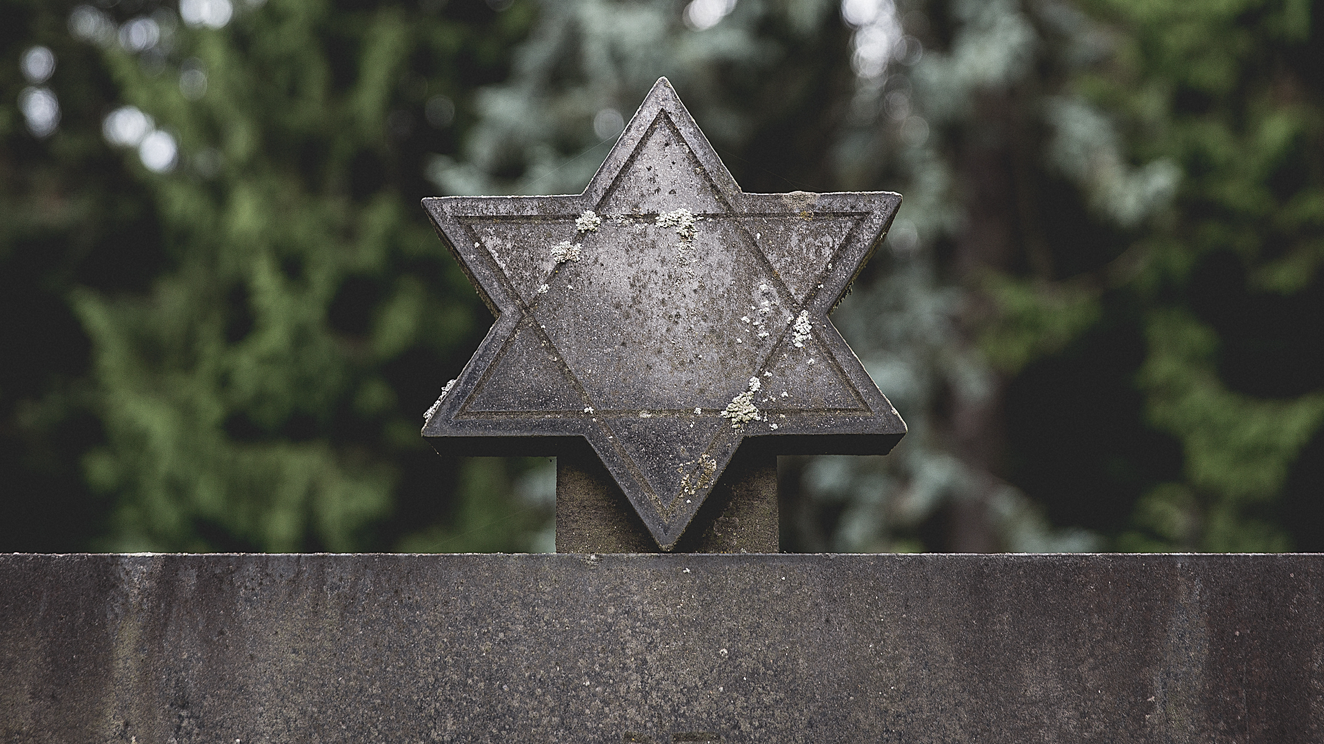 Day 209: The Star of David