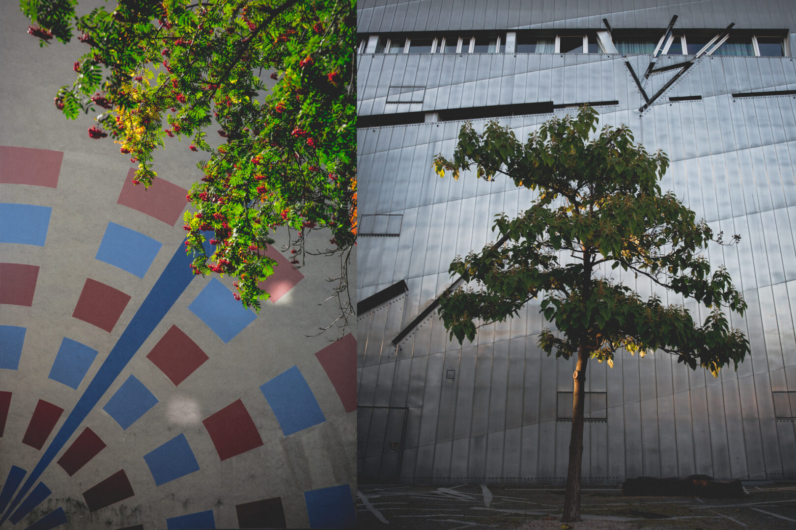 Day 248: Contrasts