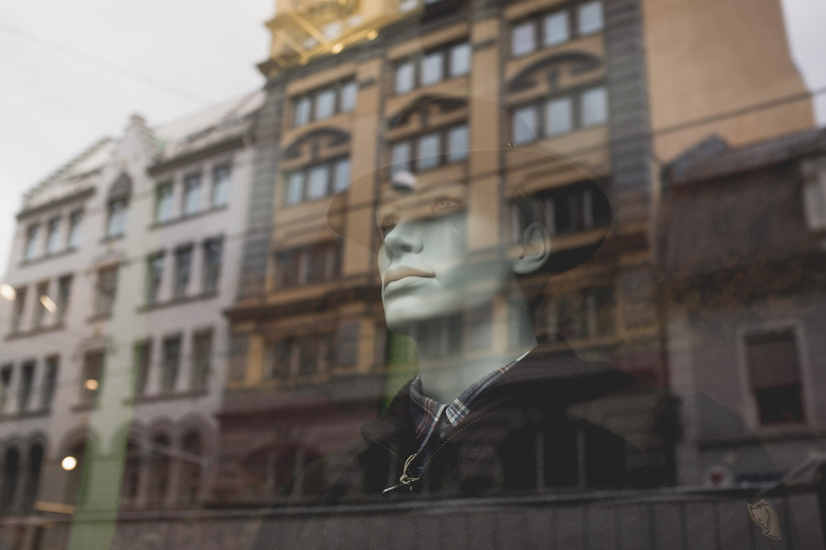 Day 253 – Tuesday September 10 – Windowshopping