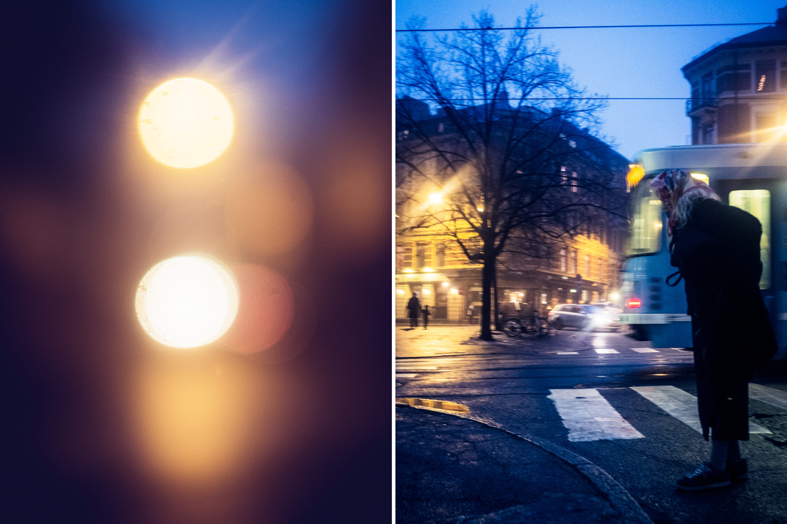 Day 353: Hegdehaugsveienish