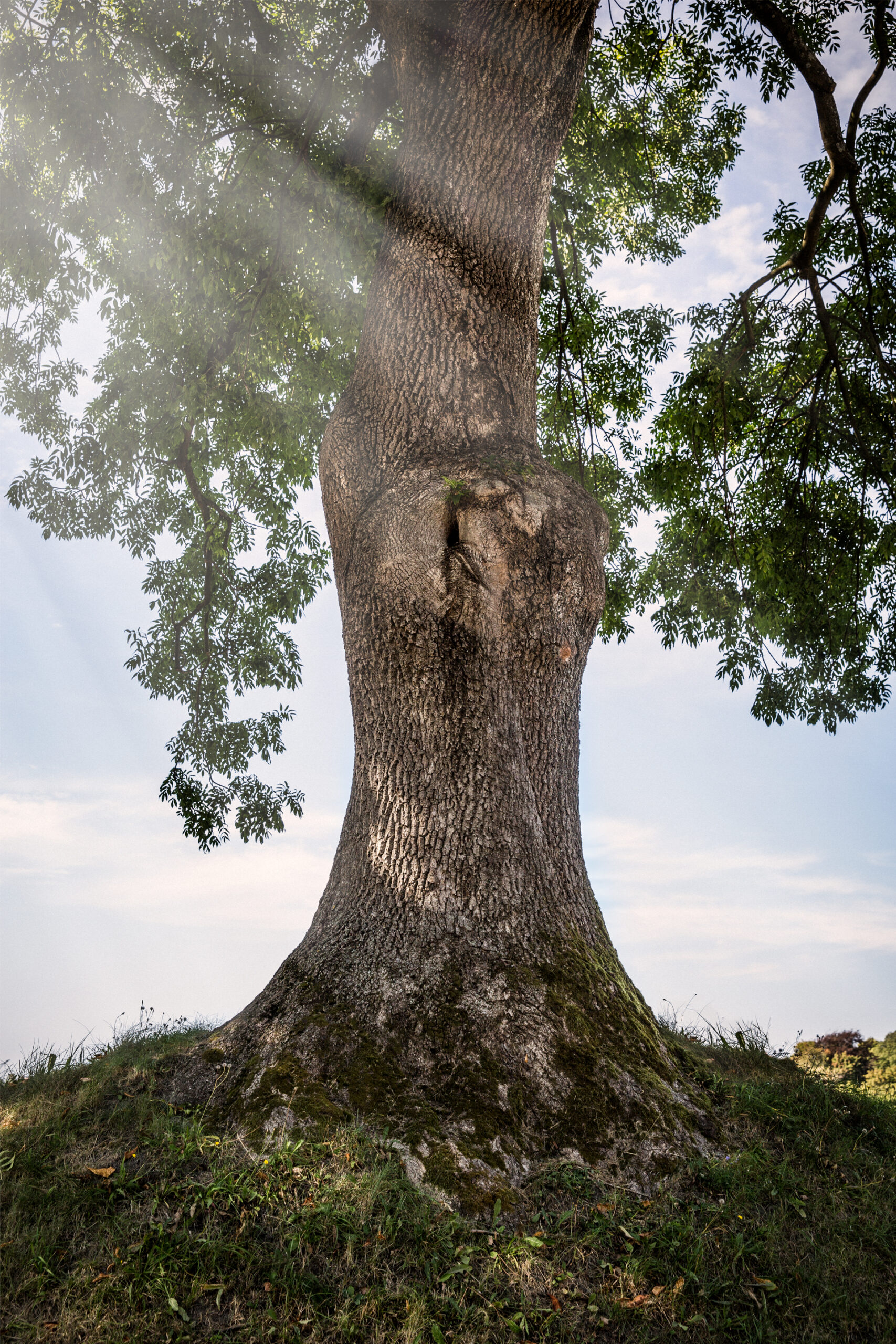 Day 277: Friday I’m in love