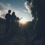 Week 27: Woopie! @ Hovefestivalen