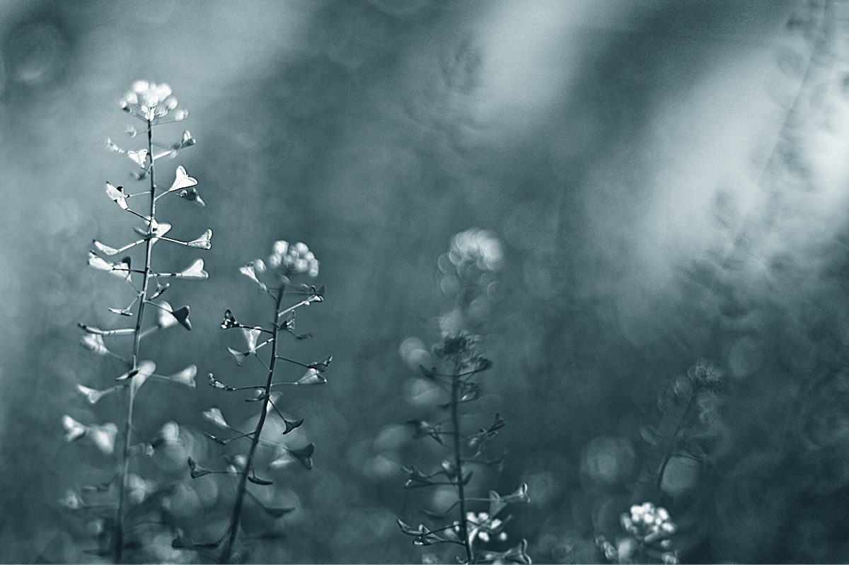 usatur_0005_Layer 6