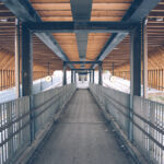 2015, day 4 – Bekkestua