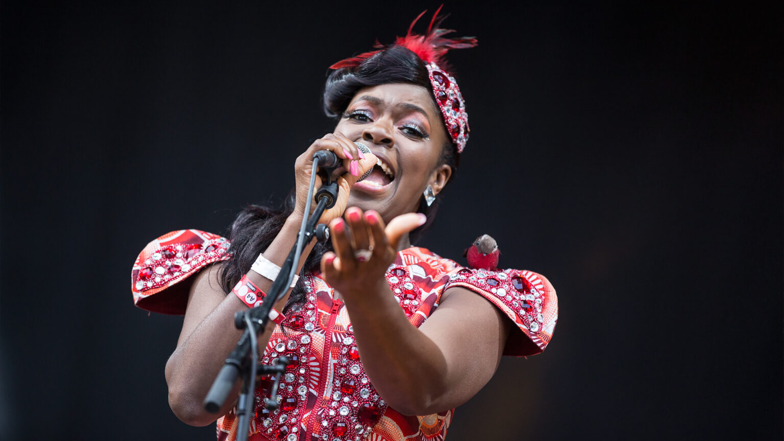 Ibibio Sound Machine