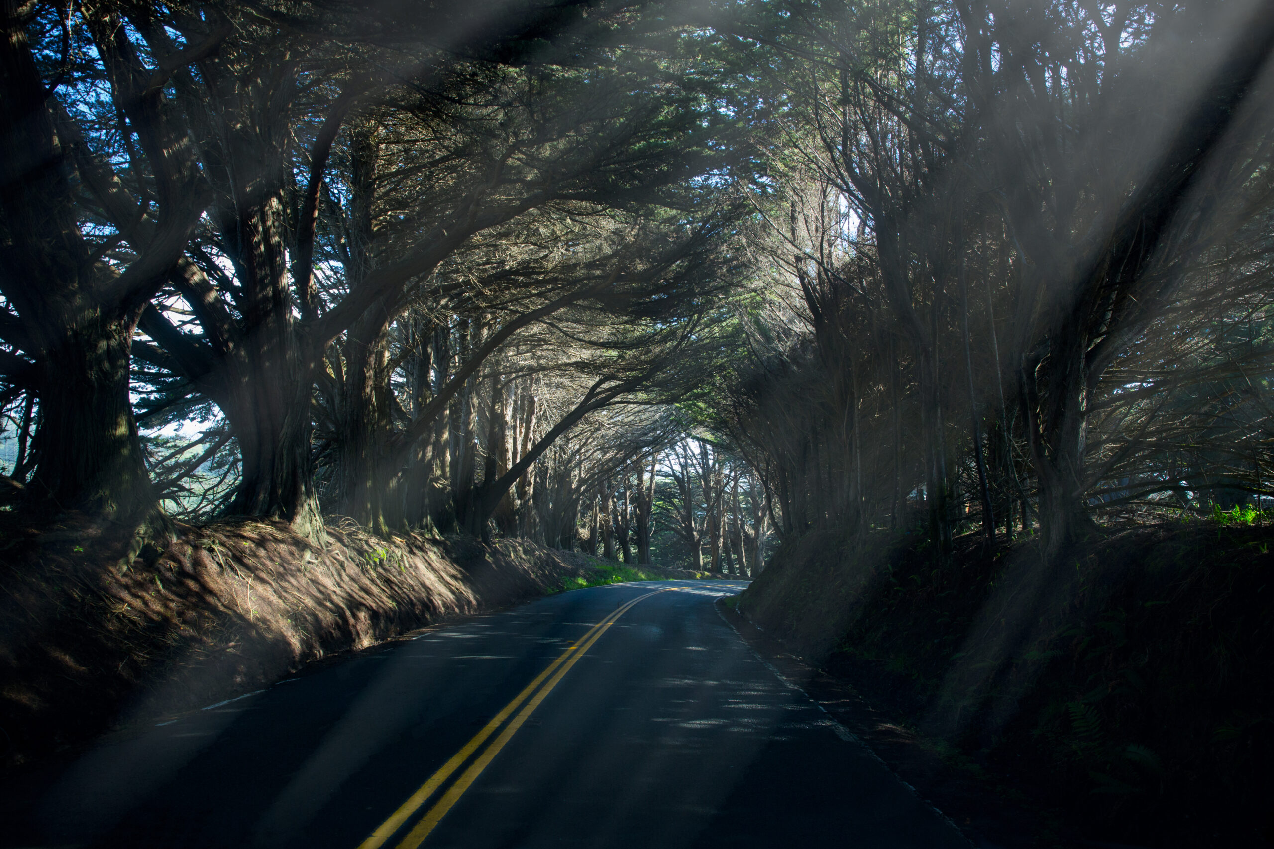 Highway 1