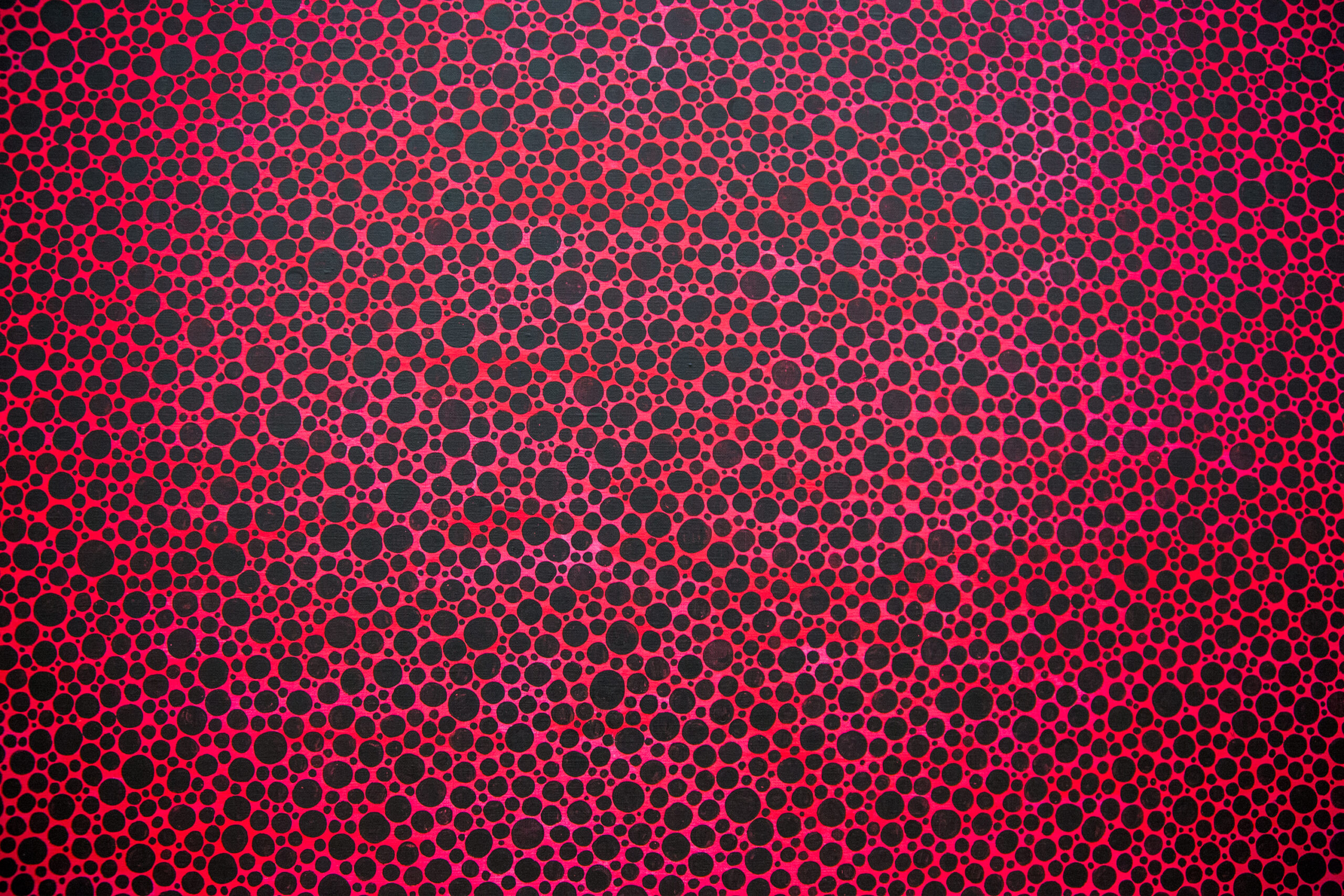 Yayoi Kusama